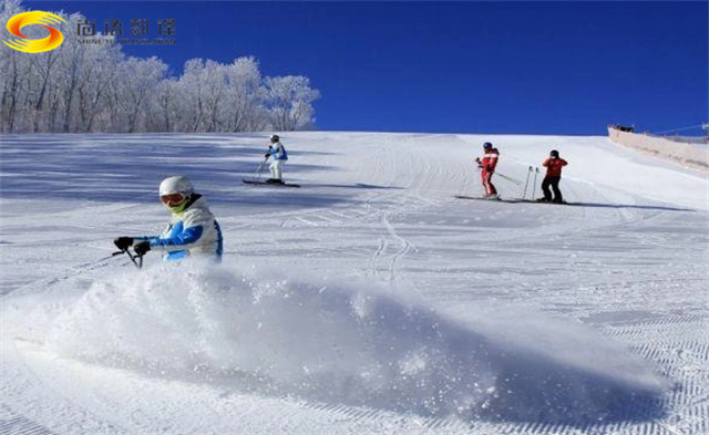 a9ed1c17566f64f7e127ecbd7198977b.jpg 0003.jpg