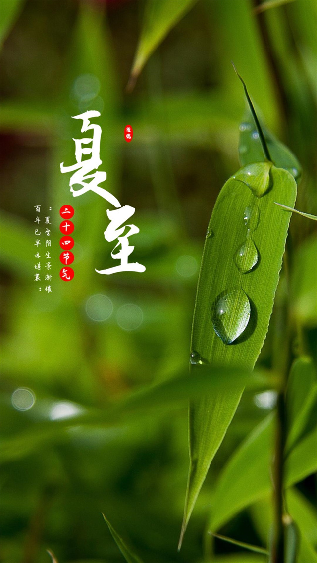 006944309492ae4ee25245a12c8f9098.jpg 35.3.jpg